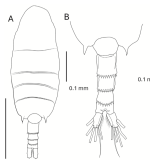 Pseudodiaptomus greenwoodi