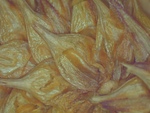 Close-up of the inflorescence