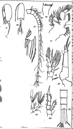 PNG file