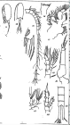 PNG file