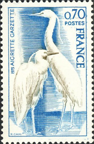 Egretta garzetta Egretta garzetta