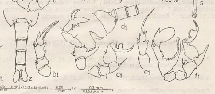 malayus from Pillai 1980