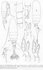 PNG file