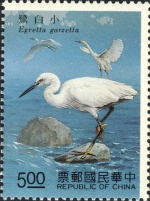 Egretta garzetta