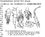 marinus Chiba 1956