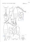 Pseudodiaptomus poplesia (Shen, 1955) 