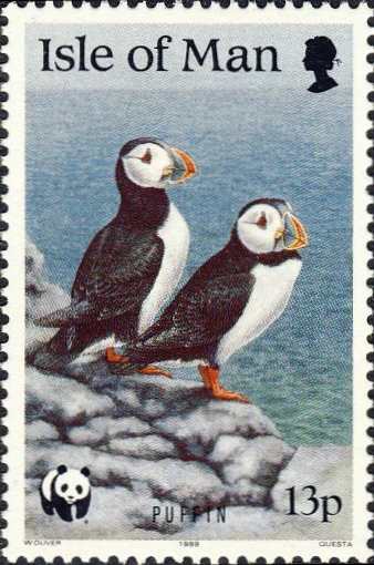 Fratercula arctica Fratercula arctica