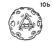 original description