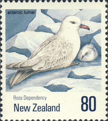 Fulmarus glacialoides Fulmarus glacialoides