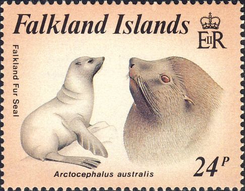 Arctocephalus australis Arctocephalus australis