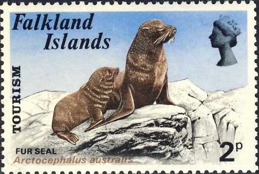 Arctocephalus australis Arctocephalus australis
