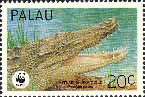 Crocodylus porosus Crocodylus porosus