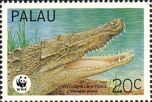 Crocodylus porosus