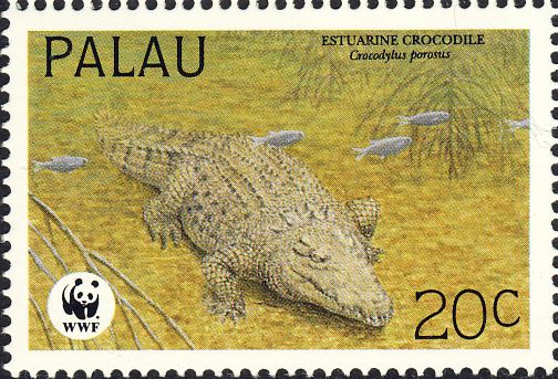 Crocodylus porosus Crocodylus porosus