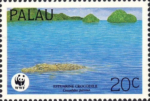 Crocodylus porosus Crocodylus porosus