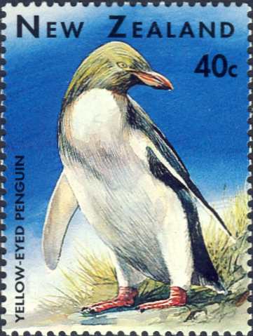Megadyptes antipodes Megadyptes antipodes