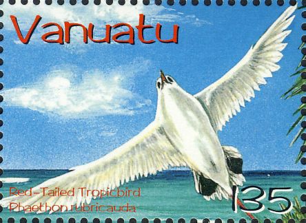 Phaethon rubricauda Phaethon rubricauda