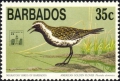 Aves (birds)