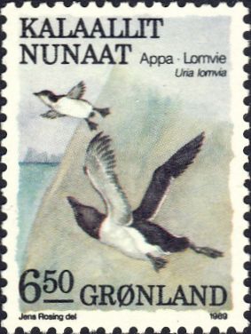 Uria lomvia Uria lomvia