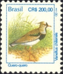 Vanellus chilensis