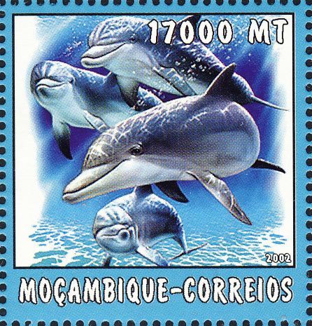 Tursiops truncatus Tursiops truncatus