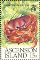 Crustacea (crustaceans)