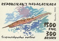 Scapanorhynchus owstoni