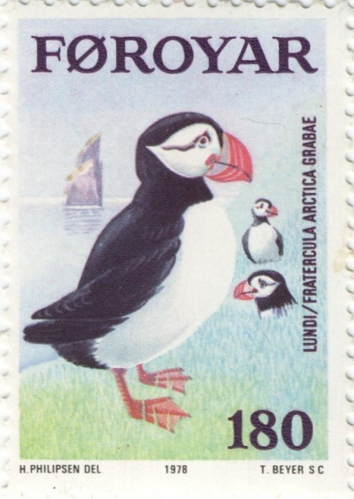 Fratercula arctica Fratercula arctica