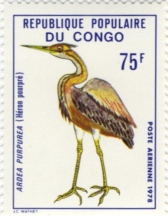 Ardea purpurea Ardea purpurea