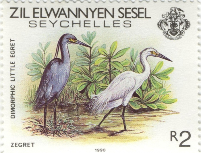 Egretta garzetta Egretta garzetta