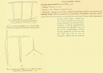 Leucaltis gastrorhabdifera = Amphoriscus gastrorhabdifer