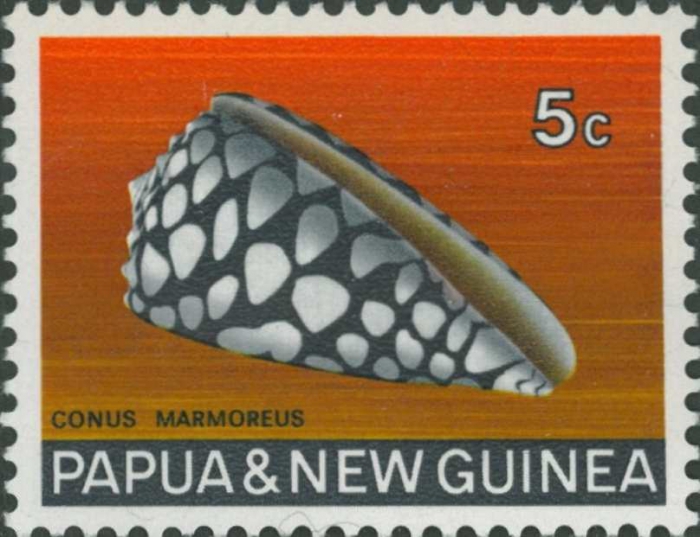 Conus marmoreus Conus marmoreus