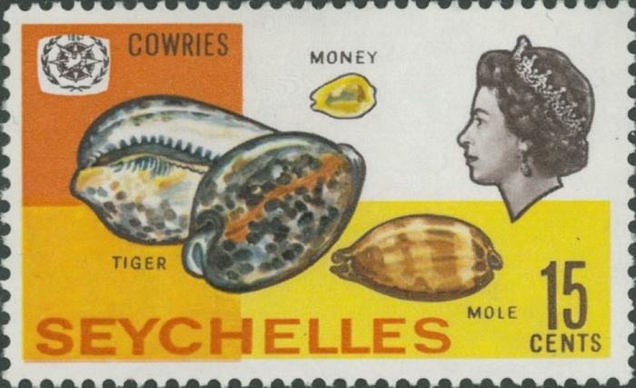 Cypraea talpa, Cypraea tigris & Cypraea moneta Cypraea talpa, Cypraea tigris & Cypraea moneta