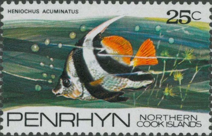 Heniochus acuminatus Heniochus acuminatus