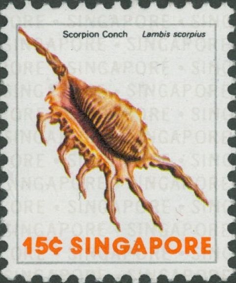 Lambis scorpius Lambis scorpius