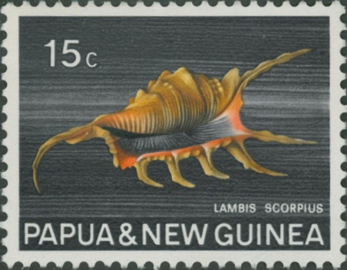 Lambis scorpius