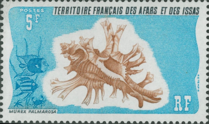 Murex palmarosae Murex palmarosae