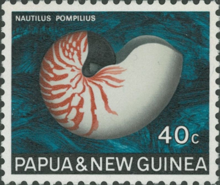 Nautilus pompilius Nautilus pompilius