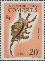 Pterocera scorpius