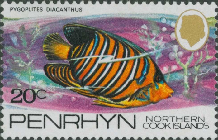 Pygoplites diacanthus Pygoplites diacanthus