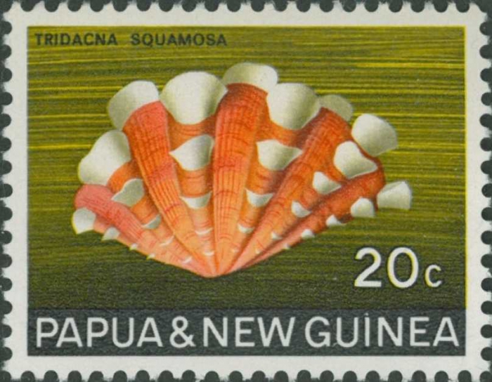 Tridacna squamosa Tridacna squamosa