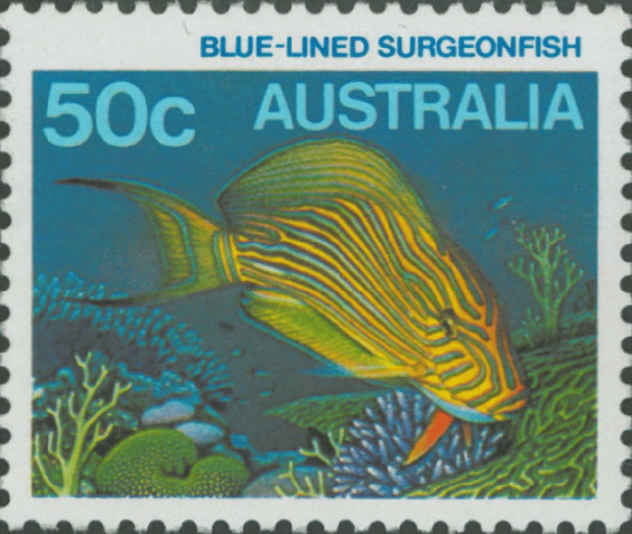 Acanthurus lineatus