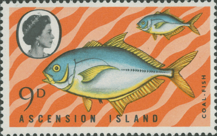 Caranx lugubris Caranx lugubris