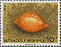 Mollusca (molluscs)