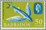 Hirundichthys affinis