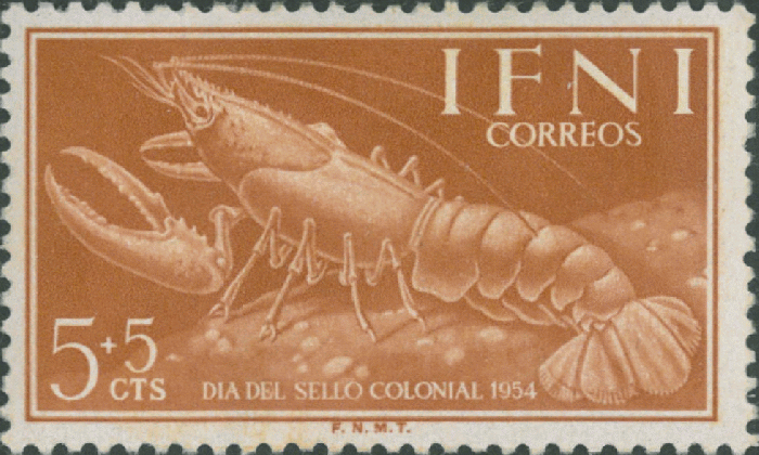 Homarus gammarus