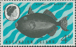 Tetraodontiformes