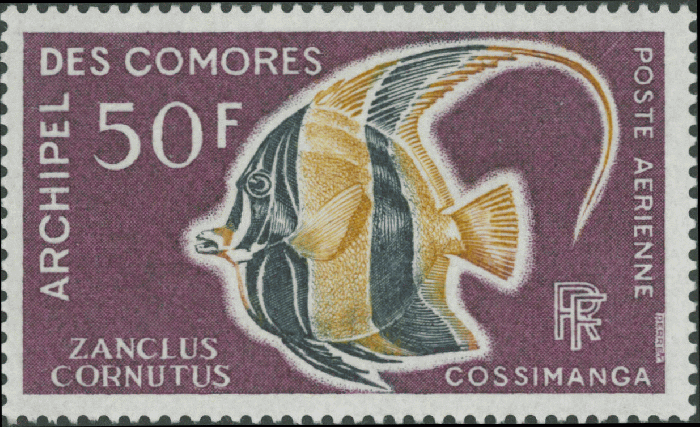 Zanclus cornutus