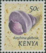 Janthina globosa
