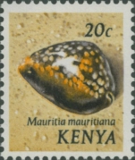 Mauritia mauritiana